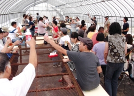 あけぼの納涼祭