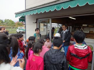 わかすぎ学園りんご狩り1