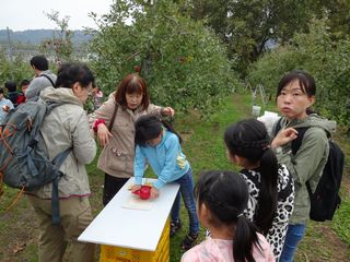 わかすぎ学園りんご狩り3