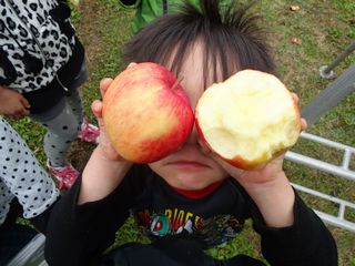 わかすぎ学園りんご狩り5