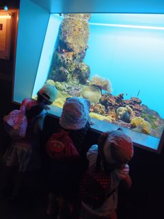 わかすぎ学園サマーキャンプ6