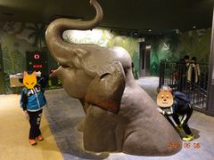 わかすぎ学園GW行事