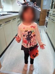 はまなす　秋の活動