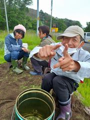 花ファクトリーあけぼの 花壇整備