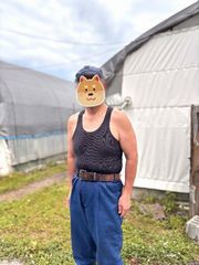 夏を乗り切りました